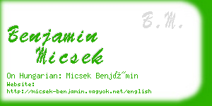 benjamin micsek business card